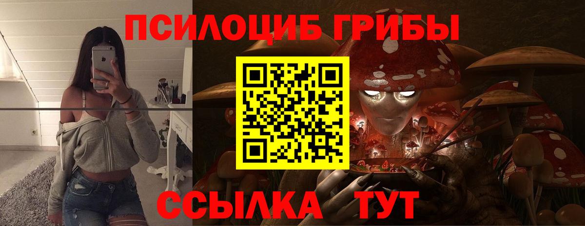 Псилоцибиновые грибы GOLDEN TEACHER  Галлюциногенные грибы мицелий  Вход с VPN  Уссурийск 